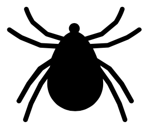 ticks and fleas